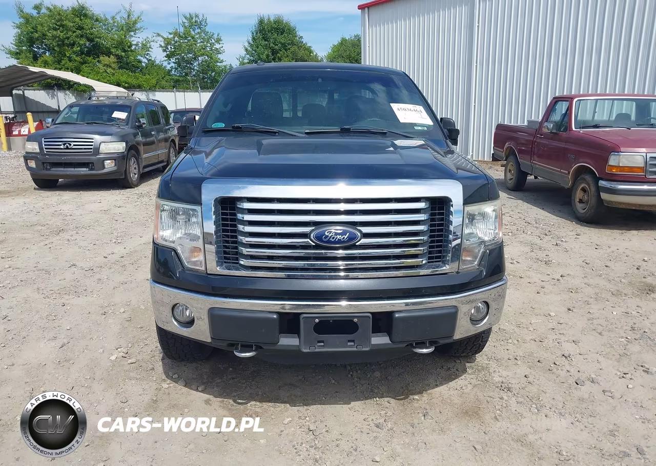 2012 Ford F-150 Xlt VIN:1FTFX1EF5CFC17067 - 12