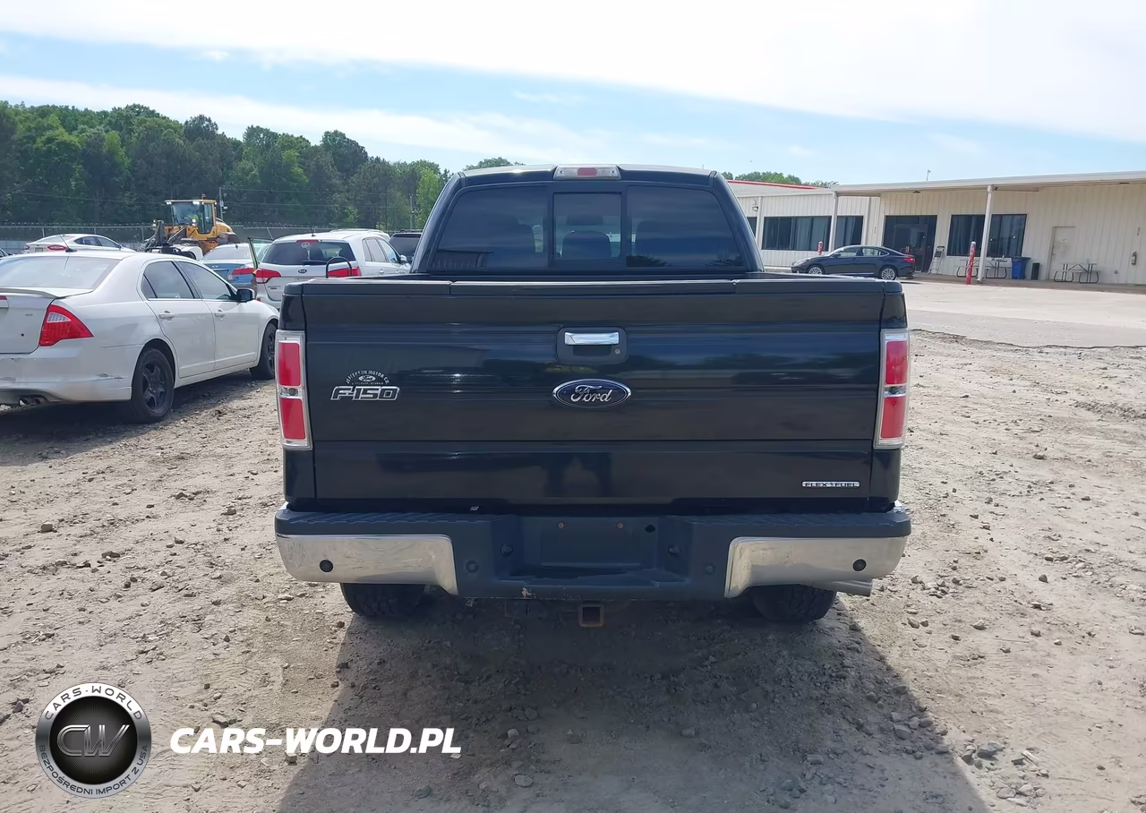 2012 Ford F-150 Xlt VIN:1FTFX1EF5CFC17067 - 16