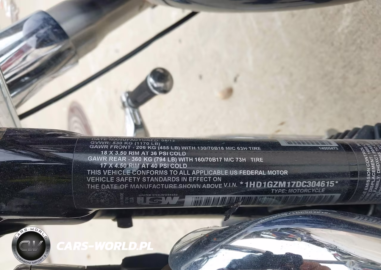 2013 Harley-Davidson Fld Switchback VIN:1HD1GZM17DC304615 - 10