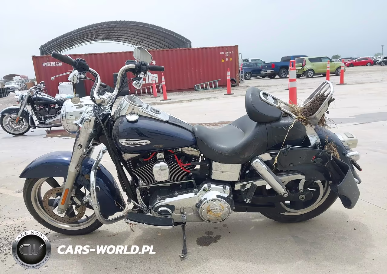 2013 Harley-Davidson Fld Switchback VIN:1HD1GZM17DC304615 - 13