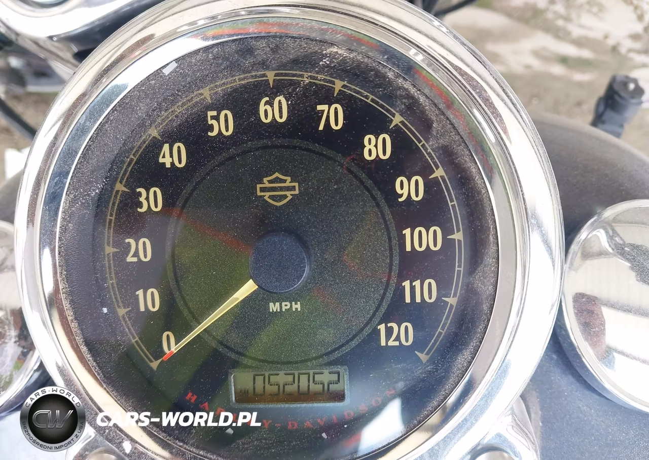2013 Harley-Davidson Fld Switchback VIN:1HD1GZM17DC304615 - 7