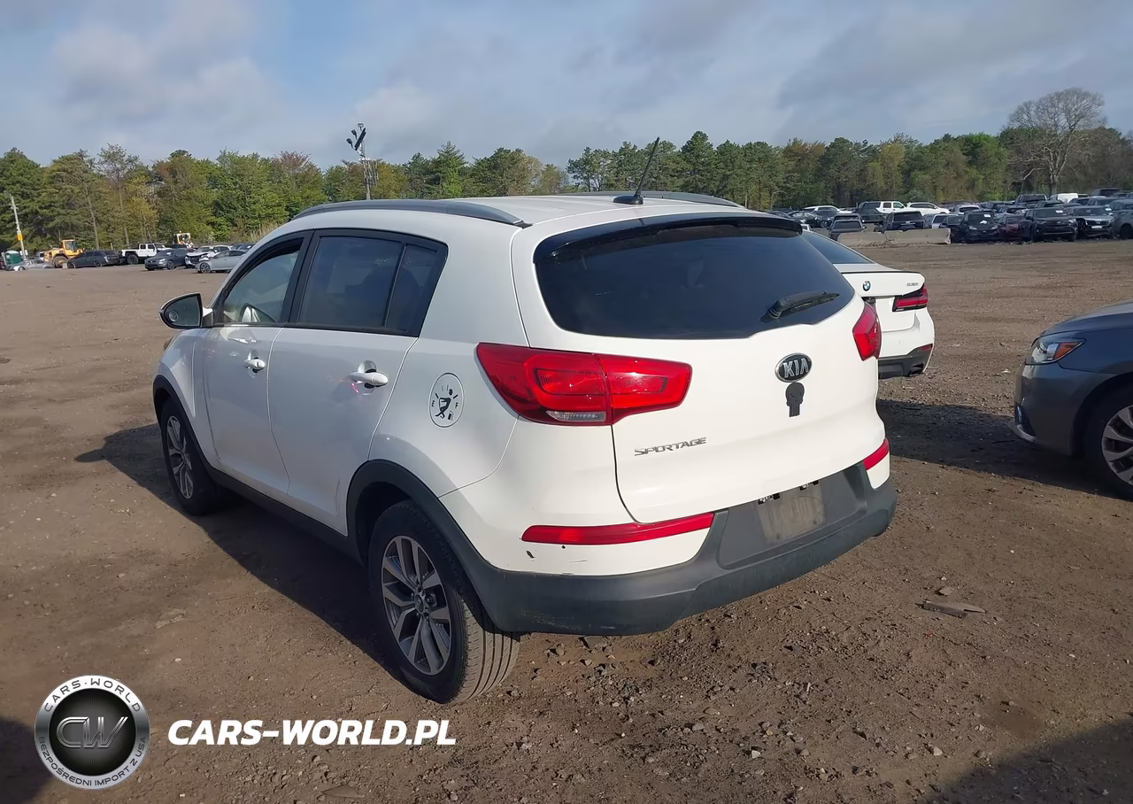2015 Kia Sportage Lx VIN:KNDPB3AC6F7781397 - 3