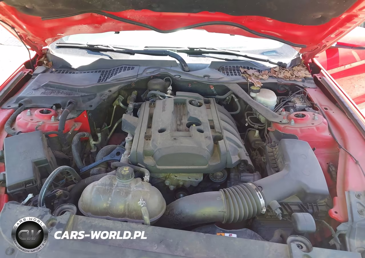 2016 Ford Mustang Ecoboost Premium VIN:1FATP8UH7G5227132 - 10