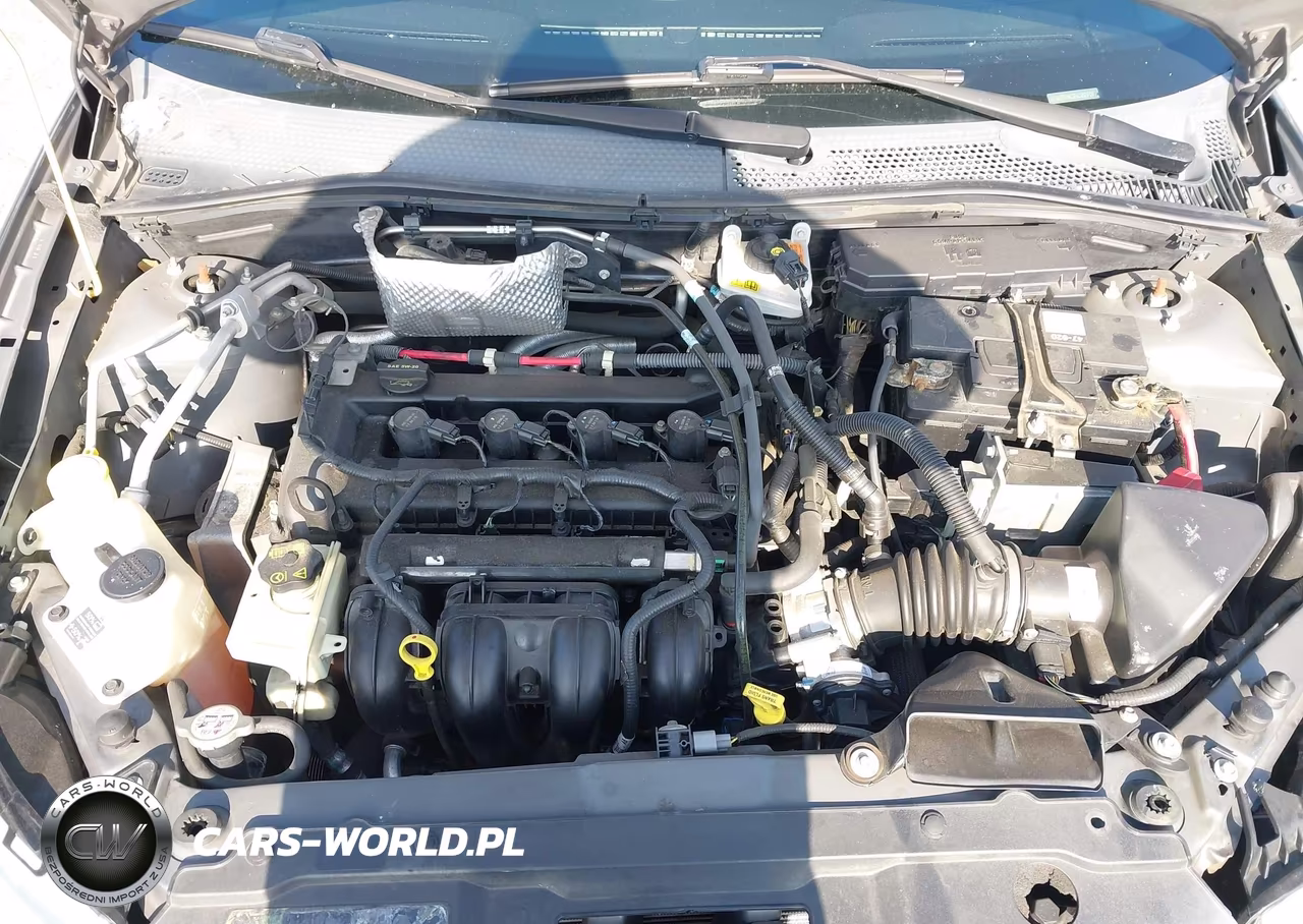 2011 Ford Focus Sel VIN:1FAHP3HN2BW200318 - 10