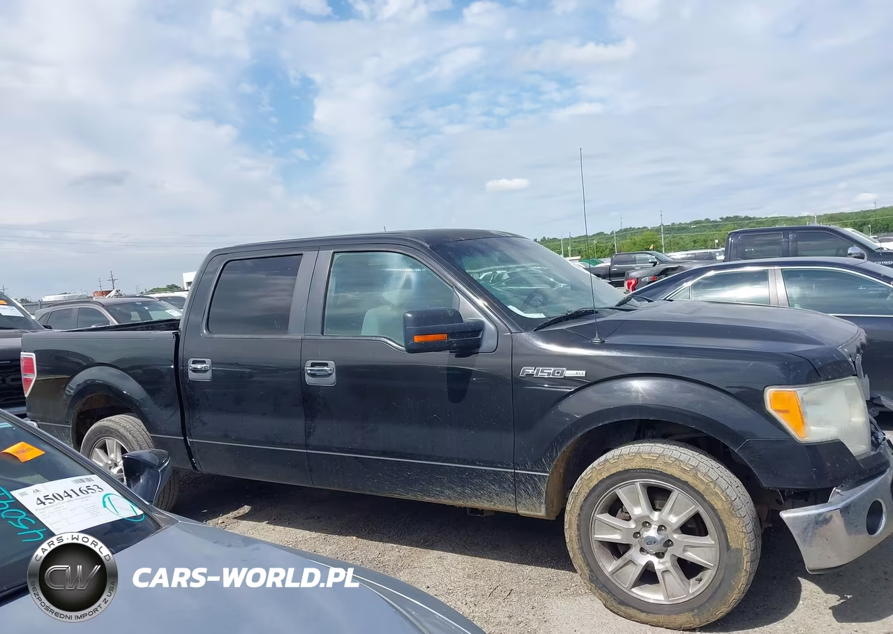 2011 Ford F-150 Xlt VIN:1FTFW1CF9BKD56145 - 13