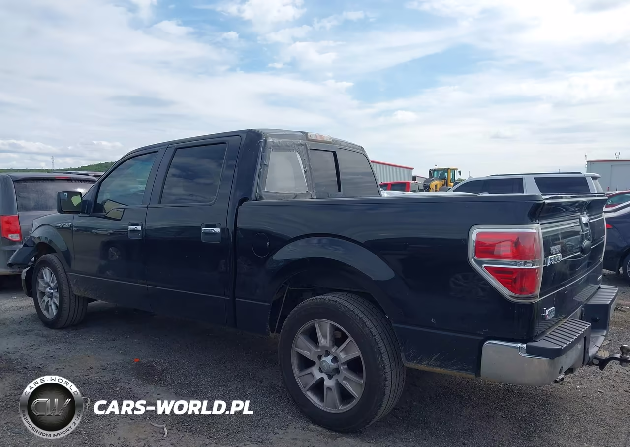 2011 Ford F-150 Xlt VIN:1FTFW1CF9BKD56145 - 14