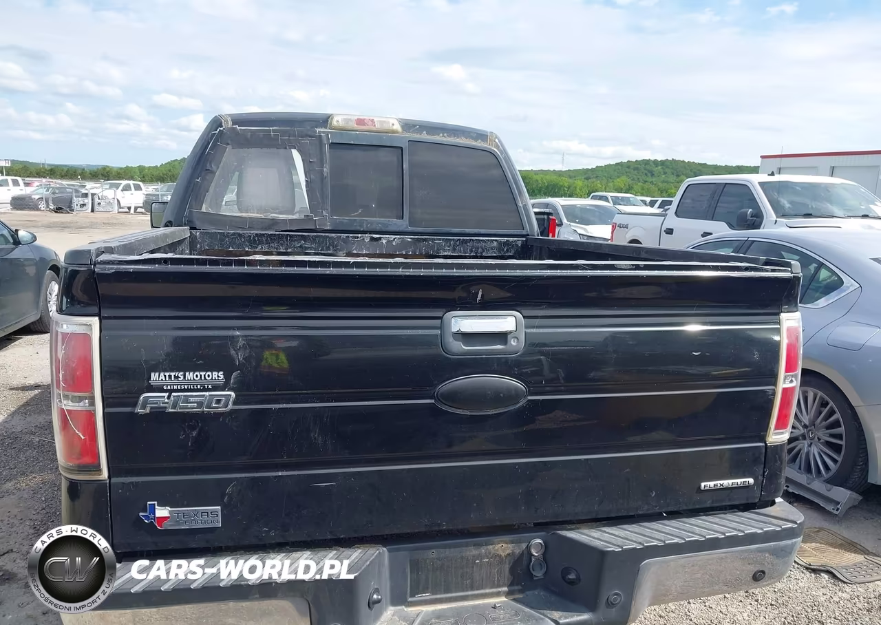 2011 Ford F-150 Xlt VIN:1FTFW1CF9BKD56145 - 16