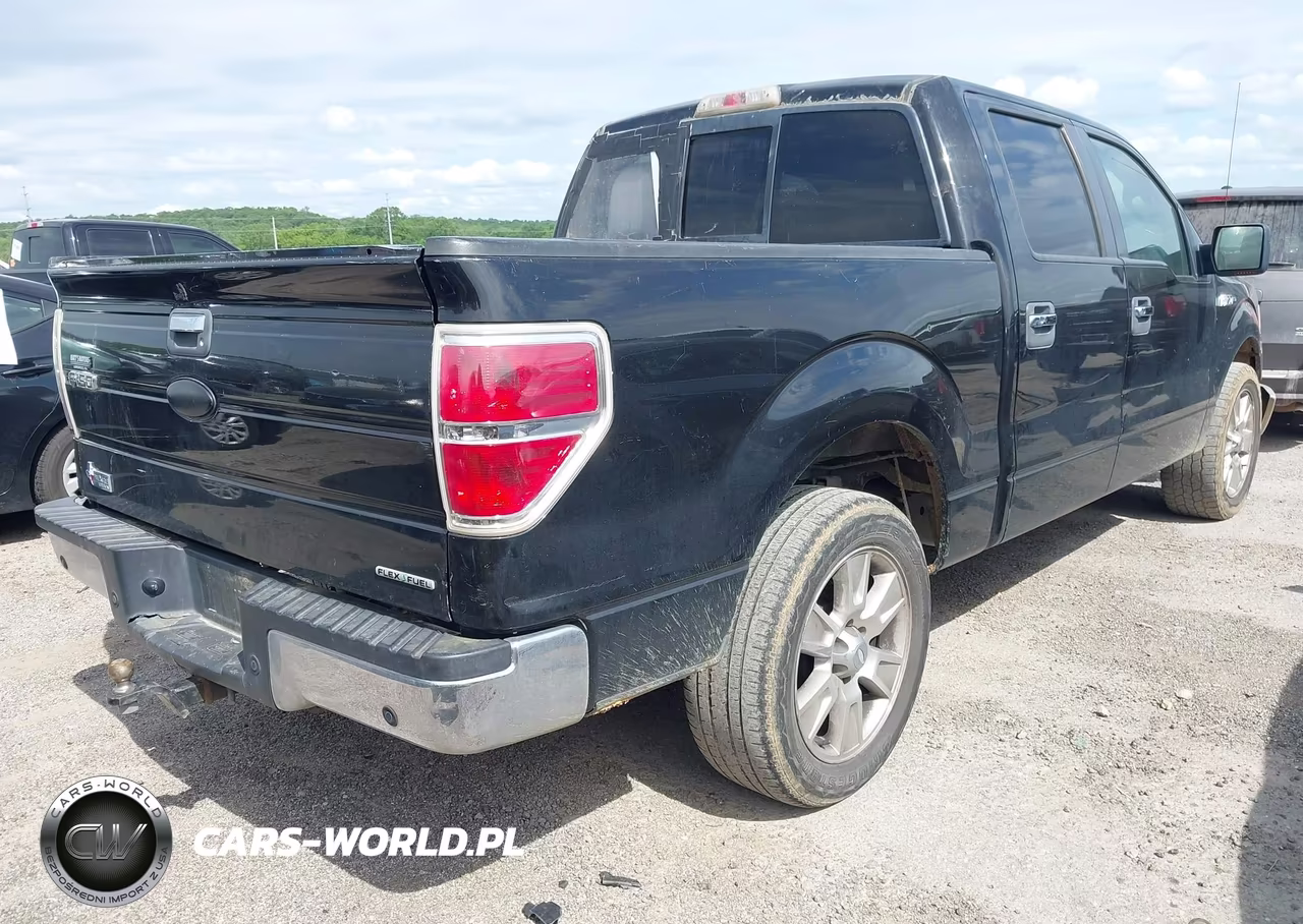 2011 Ford F-150 Xlt VIN:1FTFW1CF9BKD56145 - 4