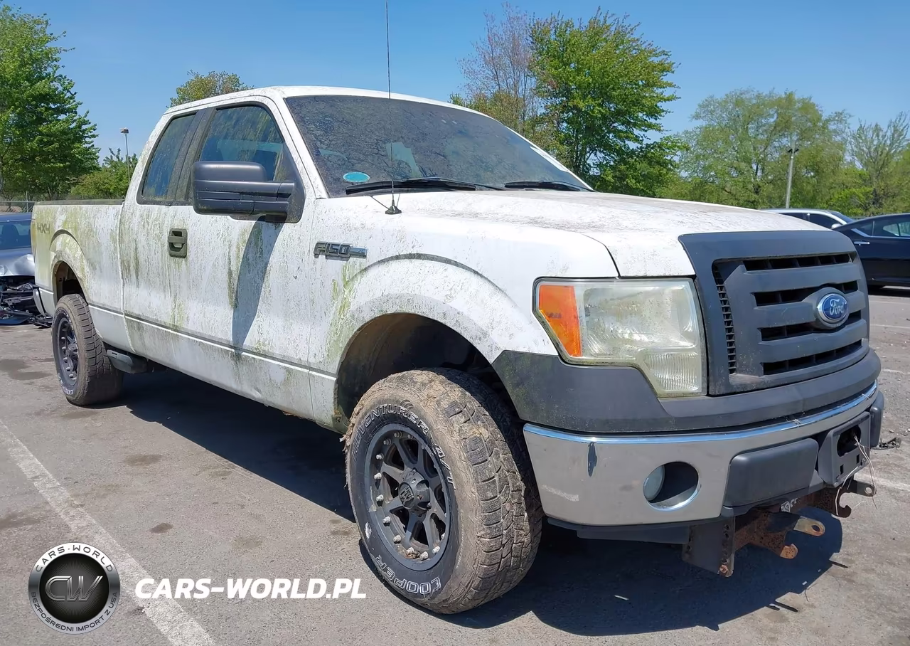 2010 Ford F-150 Stx-Xl