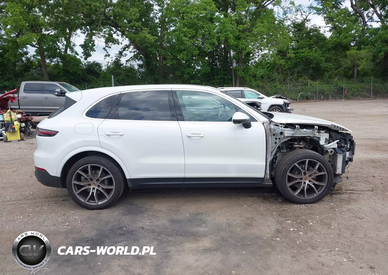 2020 Porsche Cayenne VIN:WP1AA2AY2LDA08484 - 13