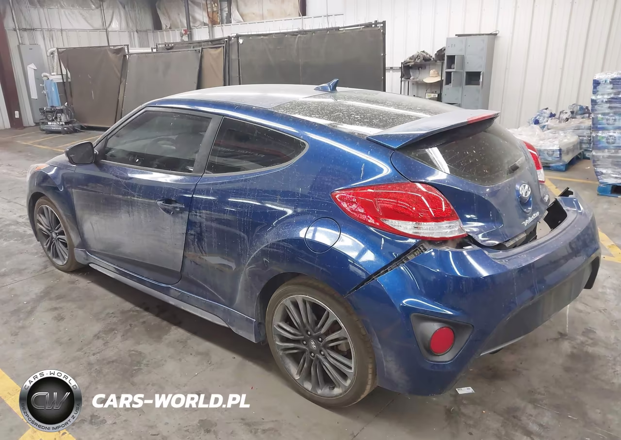 2016 Hyundai Veloster Turbo VIN:KMHTC6AE7GU301168 - 3