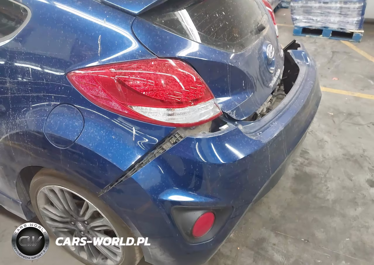 2016 Hyundai Veloster Turbo VIN:KMHTC6AE7GU301168 - 6