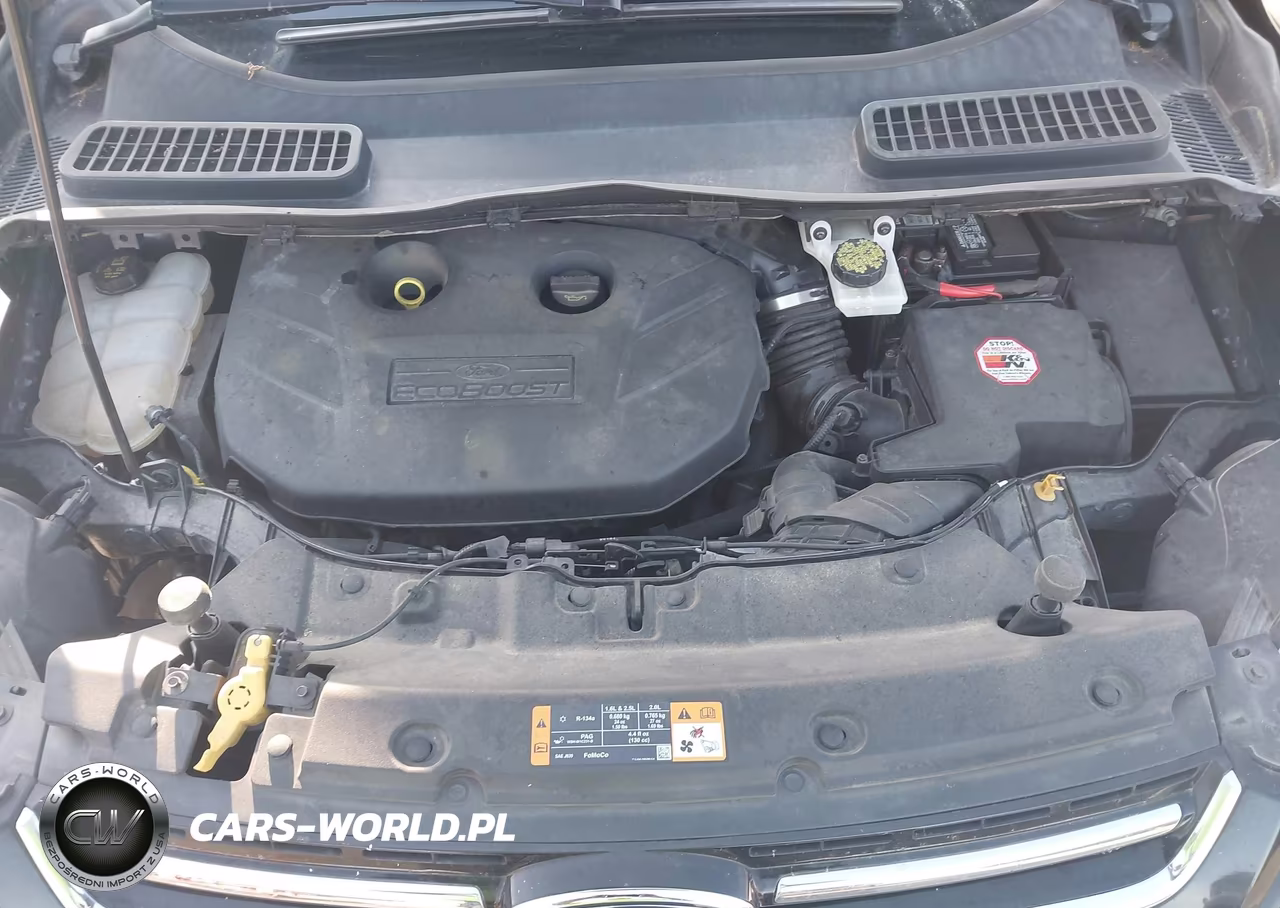 2014 Ford Escape Titanium VIN:1FMCU0J93EUA34976 - 10