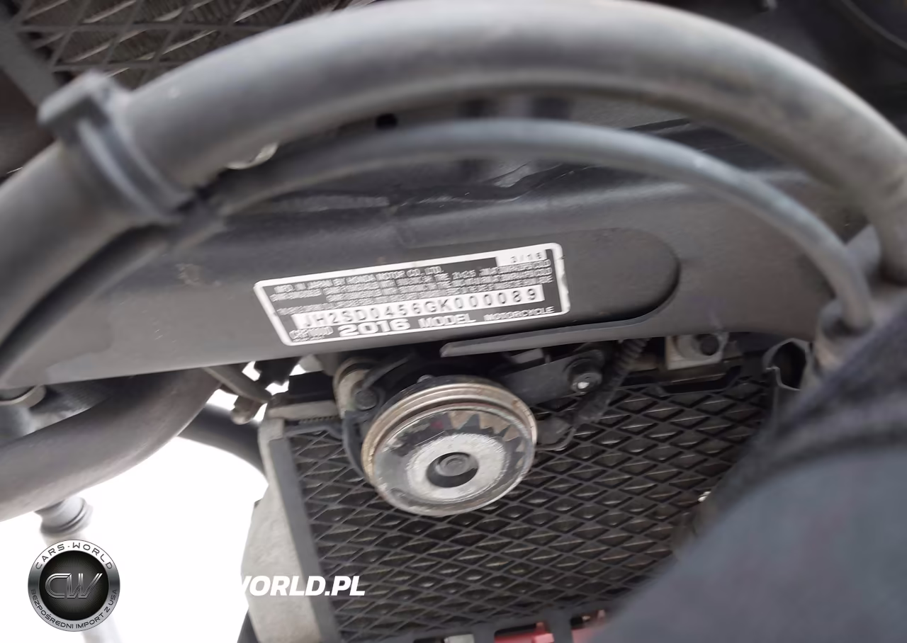 2016 Honda Crf1000 VIN:JH2SD0456GK000089 - 10