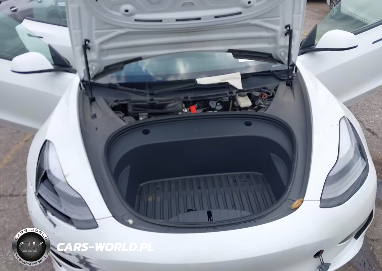 2023 Tesla Model 3 Rear-Wheel Drive VIN:5YJ3E1EA4PF602370 - 10