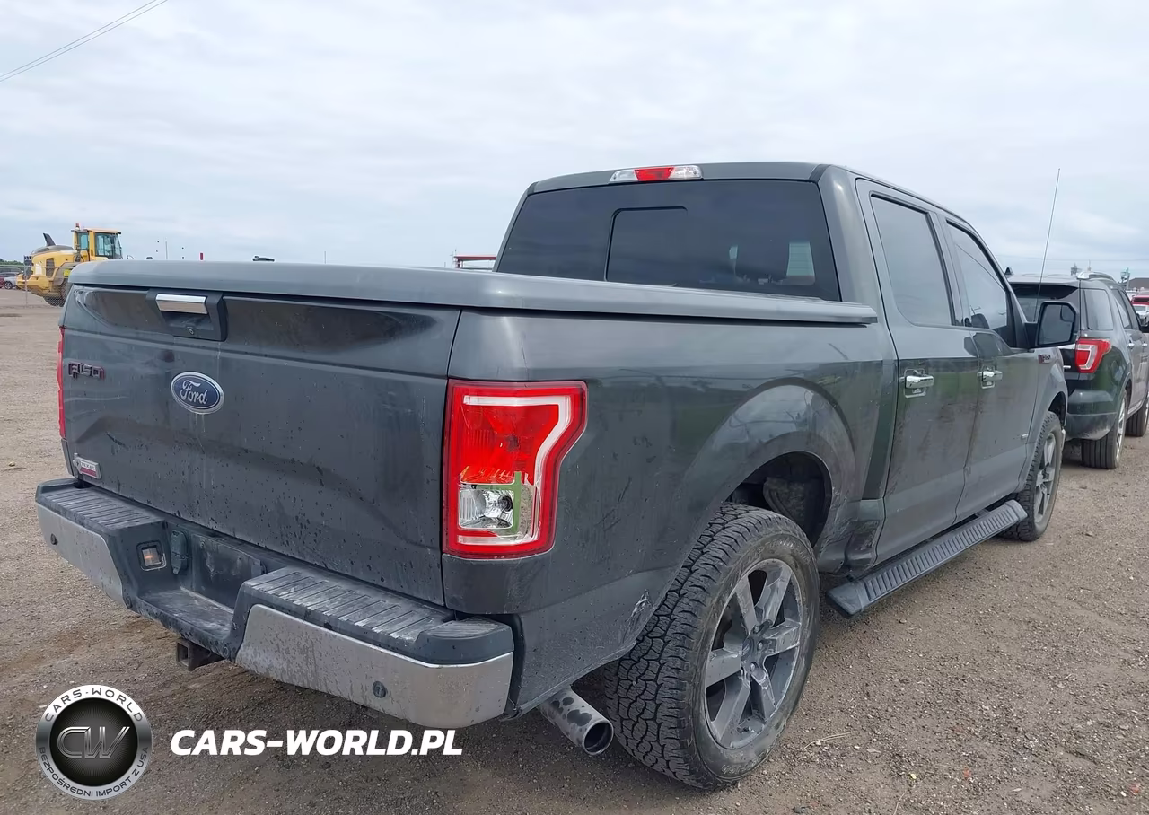 2015 Ford F-150 Xlt VIN:1FTEW1CG7FFC92707 - 6