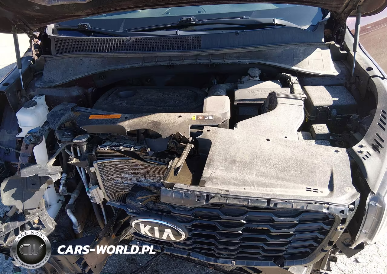 2019 Kia Sorento 2.4L Lx VIN:5XYPGDA35KG520766 - 10