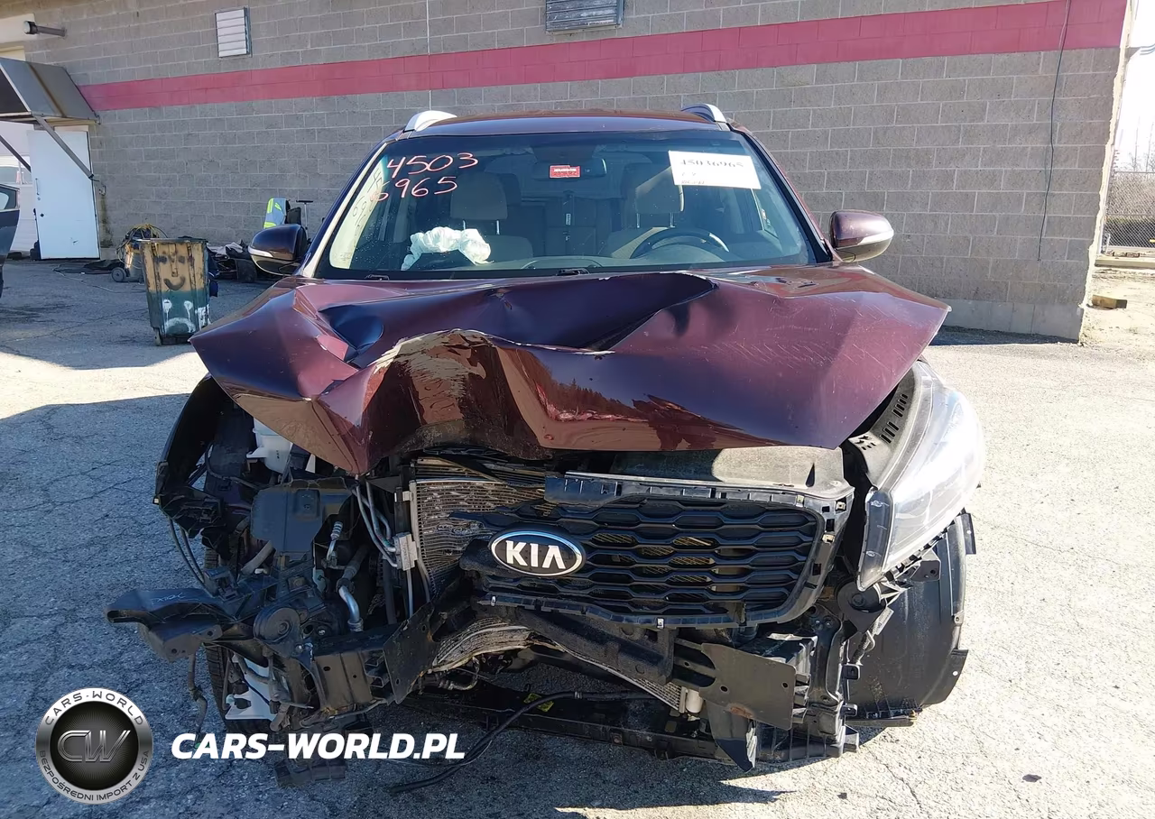 2019 Kia Sorento 2.4L Lx VIN:5XYPGDA35KG520766 - 13