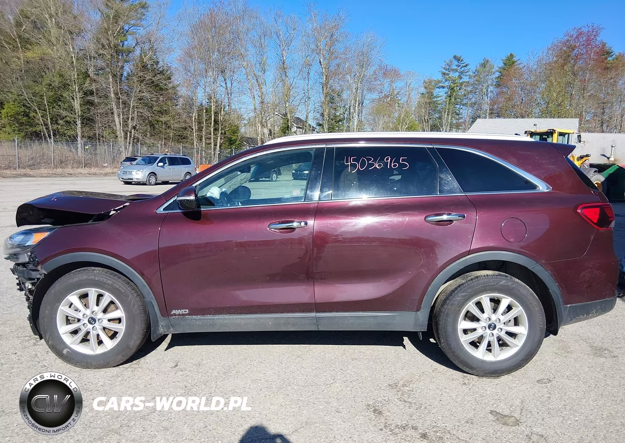 2019 Kia Sorento 2.4L Lx VIN:5XYPGDA35KG520766 - 15