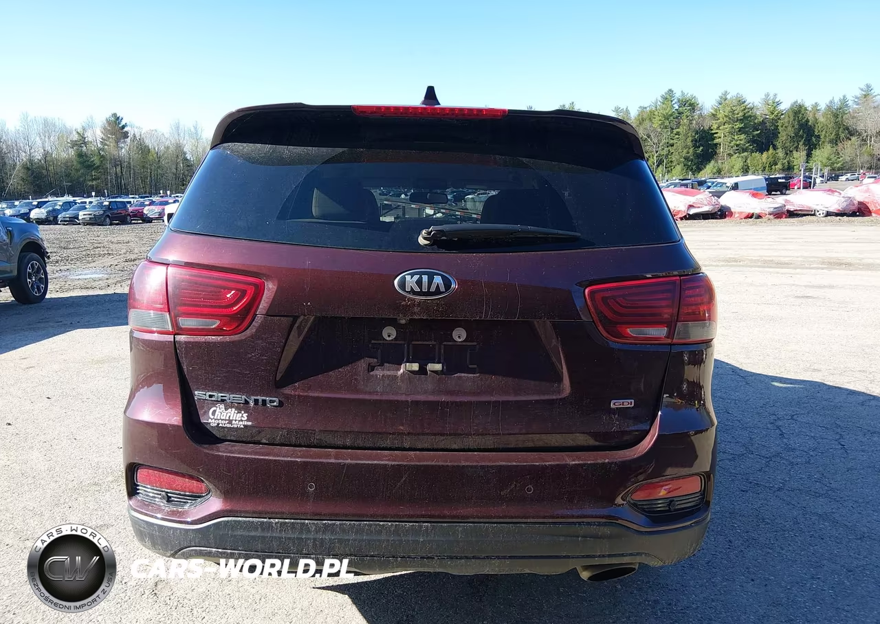2019 Kia Sorento 2.4L Lx VIN:5XYPGDA35KG520766 - 17