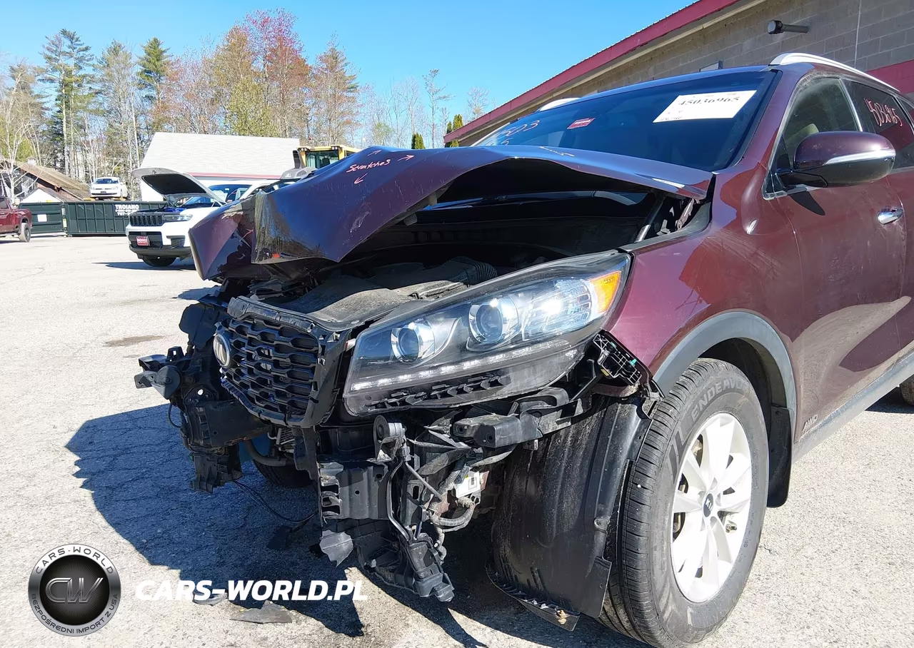 2019 Kia Sorento 2.4L Lx VIN:5XYPGDA35KG520766 - 6