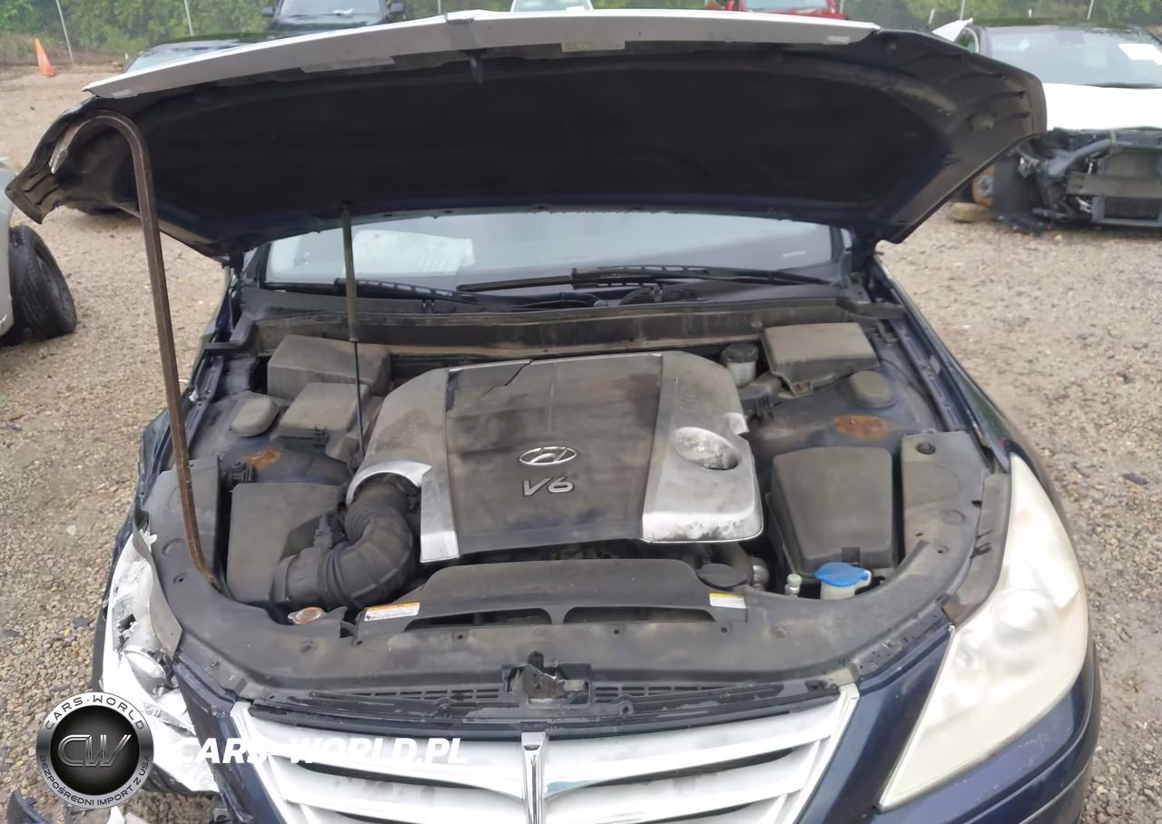 2010 Hyundai Genesis 3.8 VIN:KMHGC4DE2AU100285 - 10