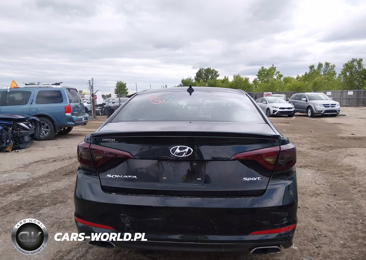2015 Hyundai Sonata Sport VIN:5NPE34AF1FH242797 - 16