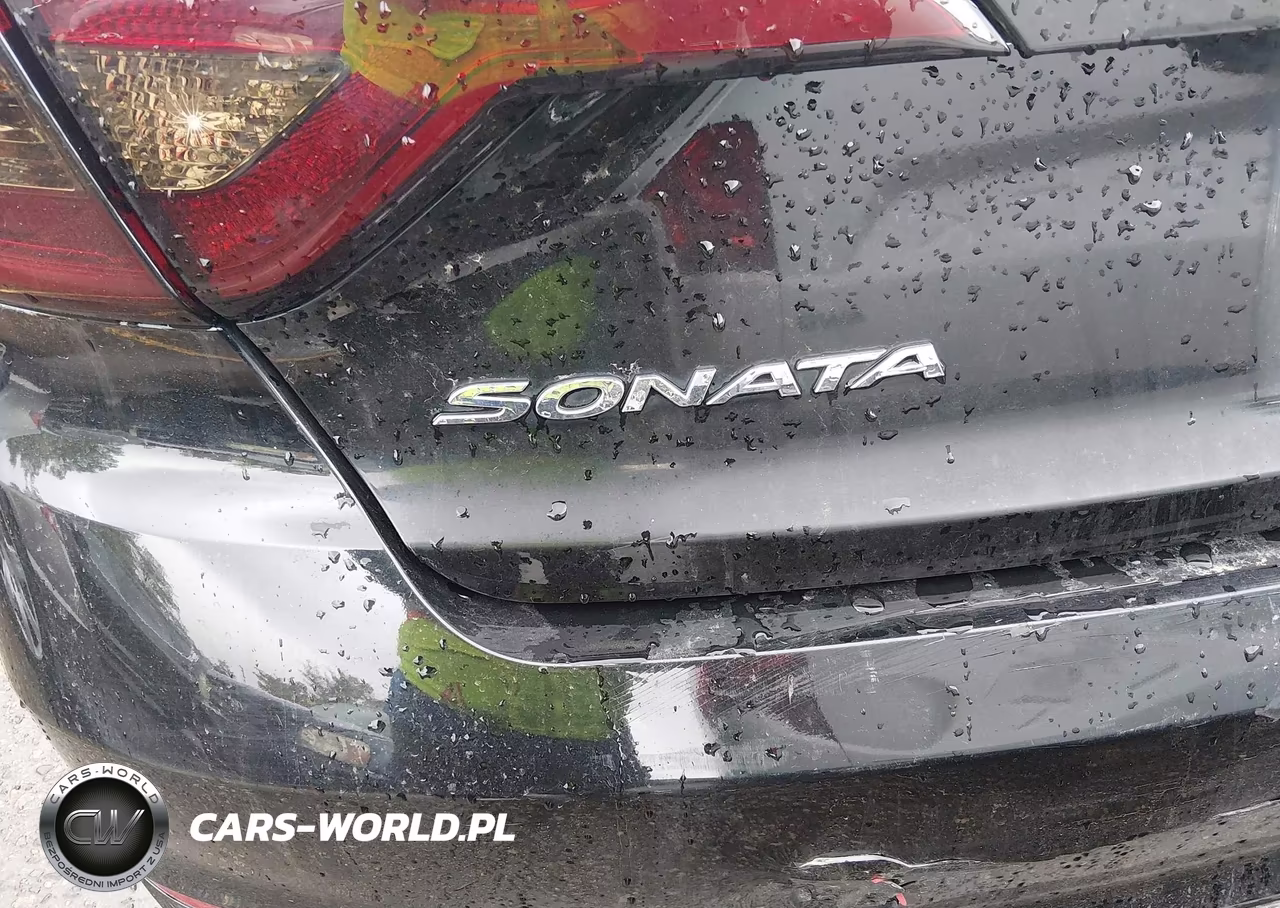 2015 Hyundai Sonata Sport VIN:5NPE34AF1FH242797 - 19