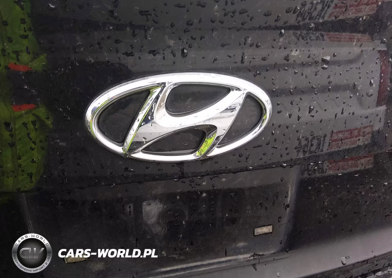 2015 Hyundai Sonata Sport VIN:5NPE34AF1FH242797 - 20