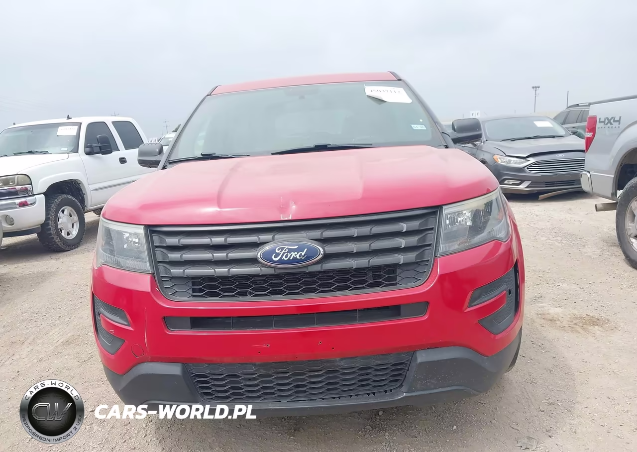2019 Ford Police Interceptor Utility VIN:1FM5K8AR0KGA62533 - 12