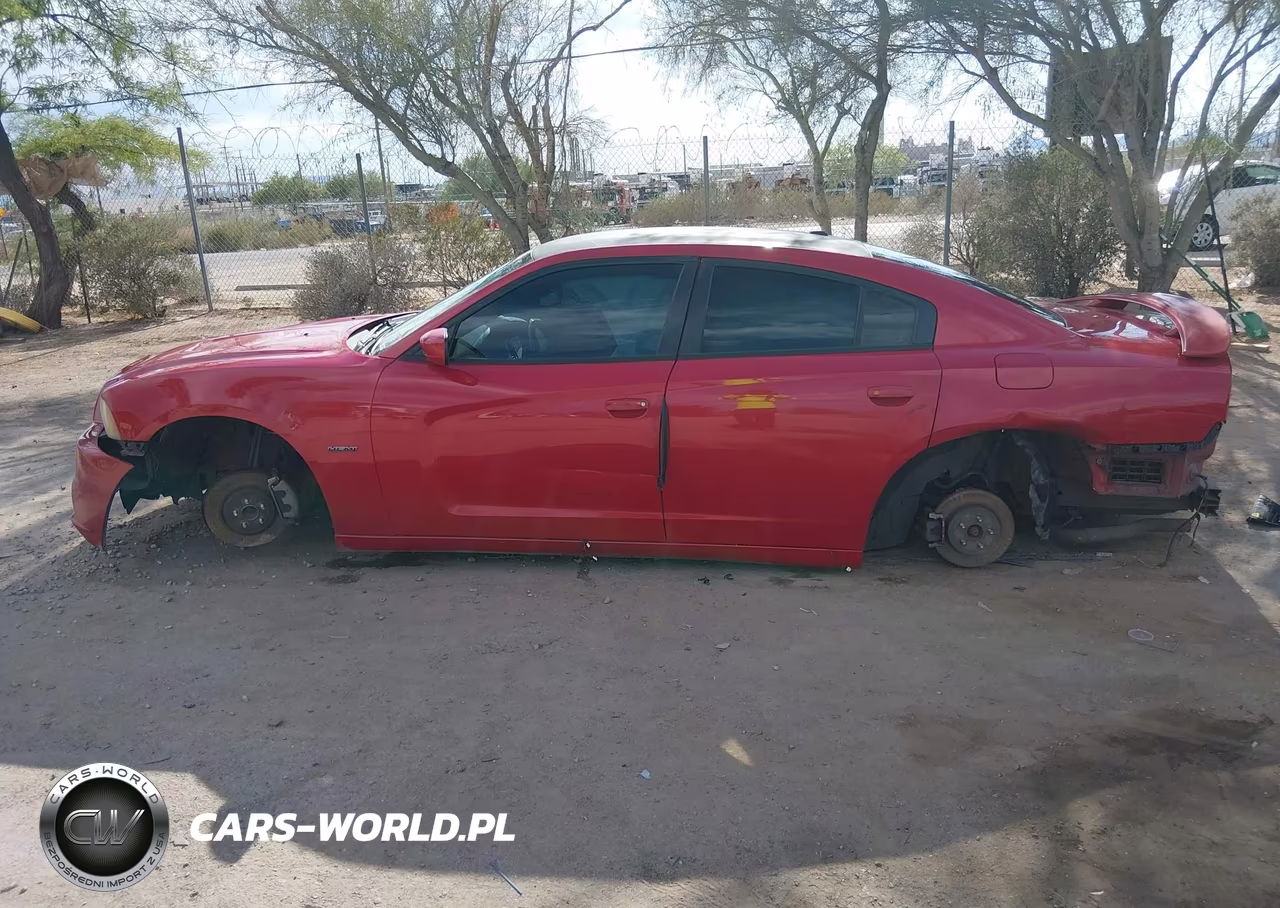 2013 Dodge Charger R-T Max VIN:2C3CDXCT9DH554952 - 14