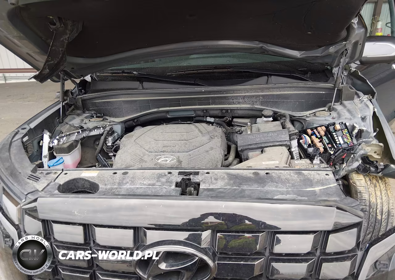 2023 Hyundai Palisade Sel VIN:KM8R4DGE6PU529116 - 10