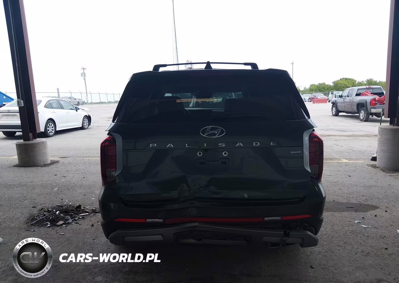 2023 Hyundai Palisade Sel VIN:KM8R4DGE6PU529116 - 17