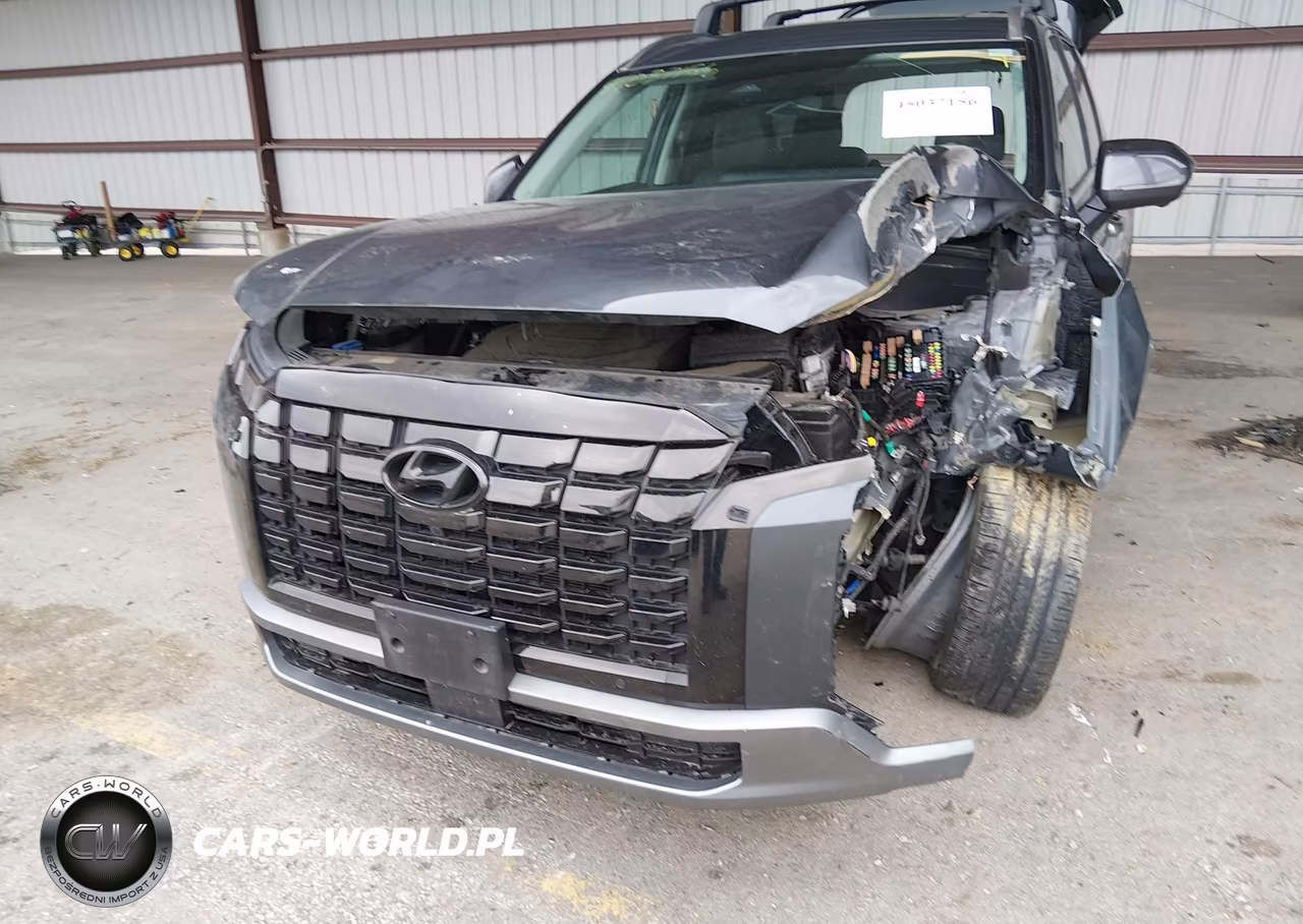 2023 Hyundai Palisade Sel VIN:KM8R4DGE6PU529116 - 6