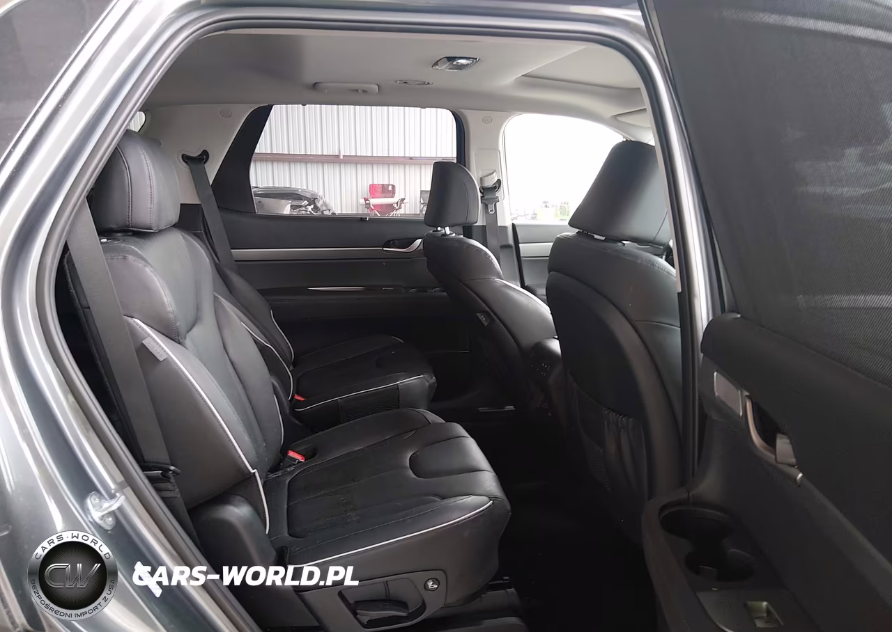2023 Hyundai Palisade Sel VIN:KM8R4DGE6PU529116 - 8