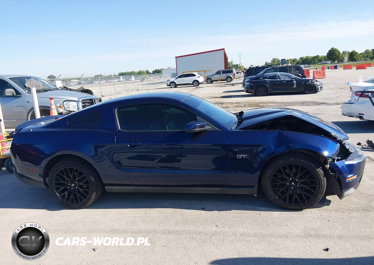 2010 Ford Mustang Gt-Gt Premium VIN:1ZVBP8CH7A5115555 - 14