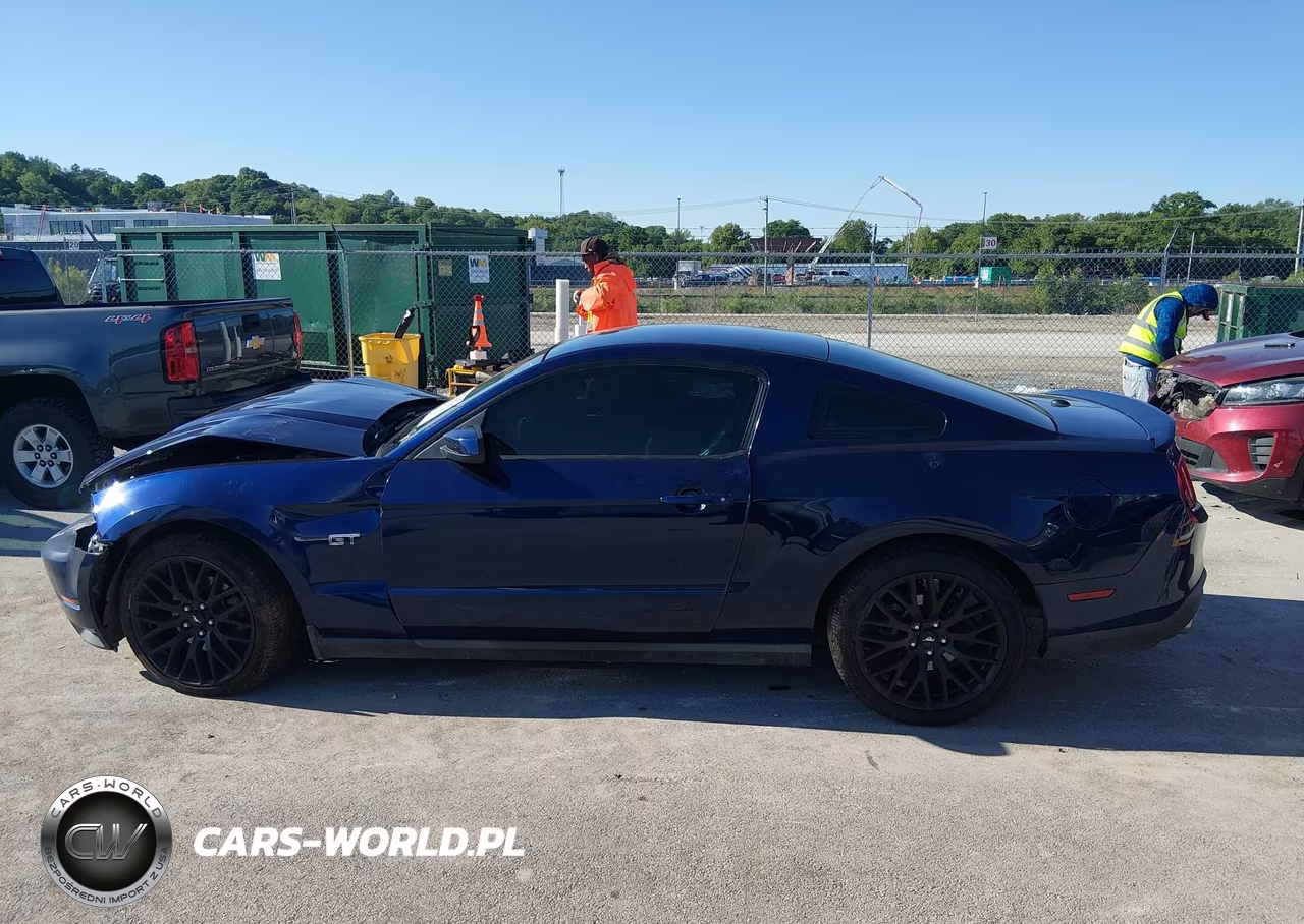2010 Ford Mustang Gt-Gt Premium VIN:1ZVBP8CH7A5115555 - 15