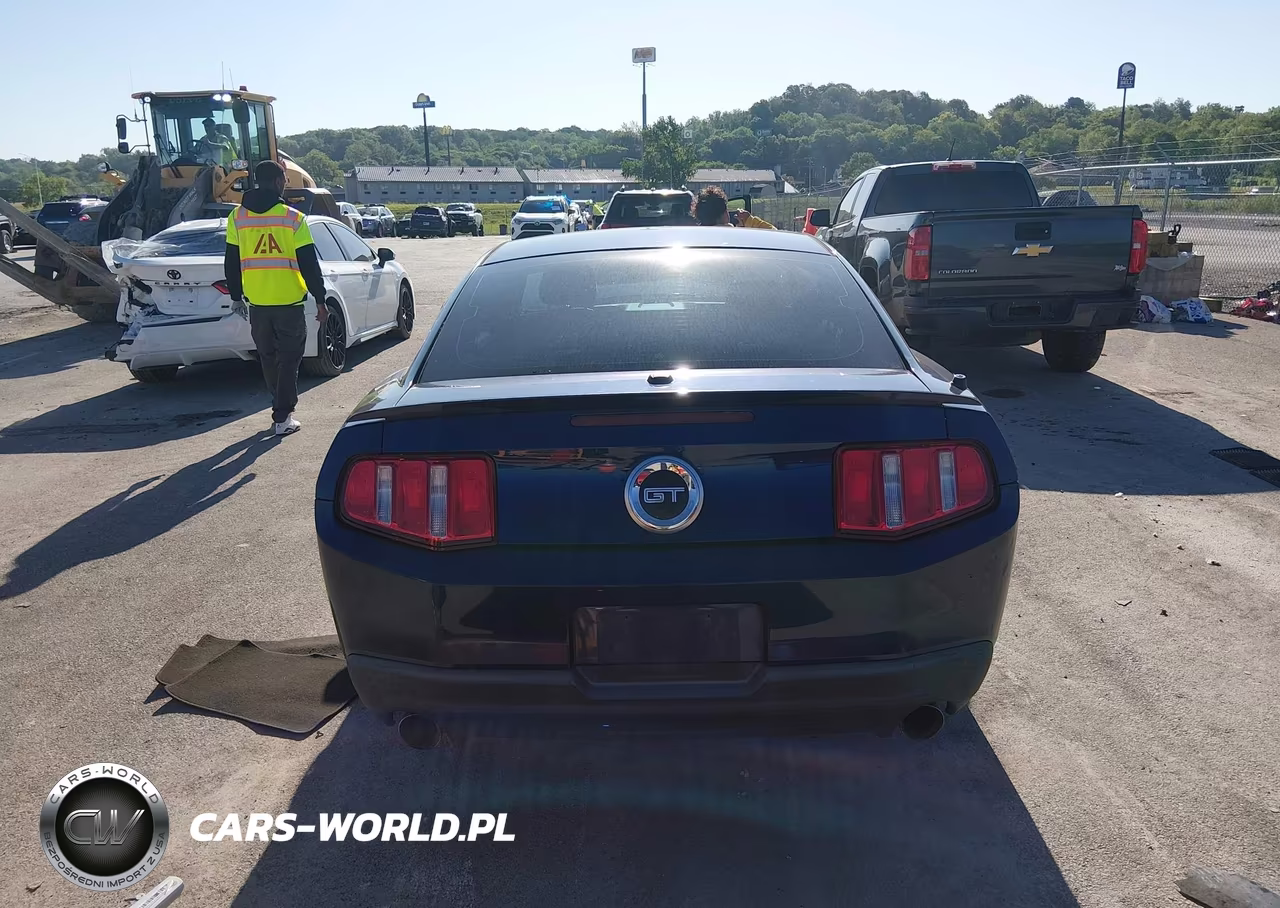 2010 Ford Mustang Gt-Gt Premium VIN:1ZVBP8CH7A5115555 - 17