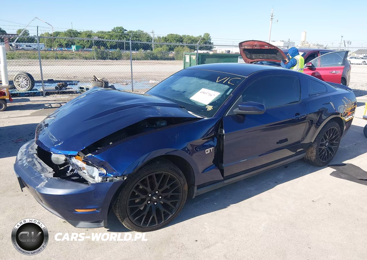2010 Ford Mustang Gt-Gt Premium VIN:1ZVBP8CH7A5115555 - 2
