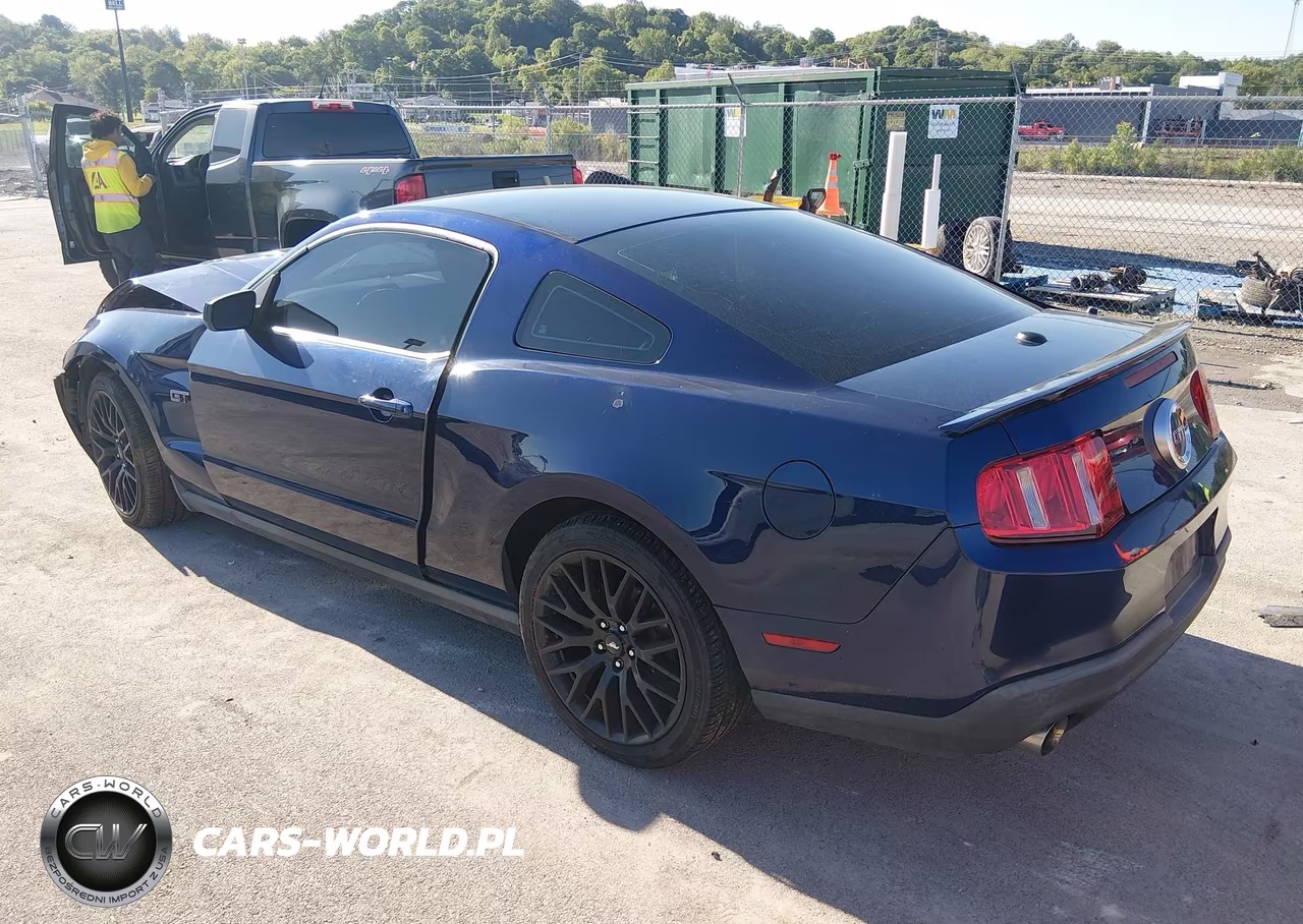 2010 Ford Mustang Gt-Gt Premium VIN:1ZVBP8CH7A5115555 - 3