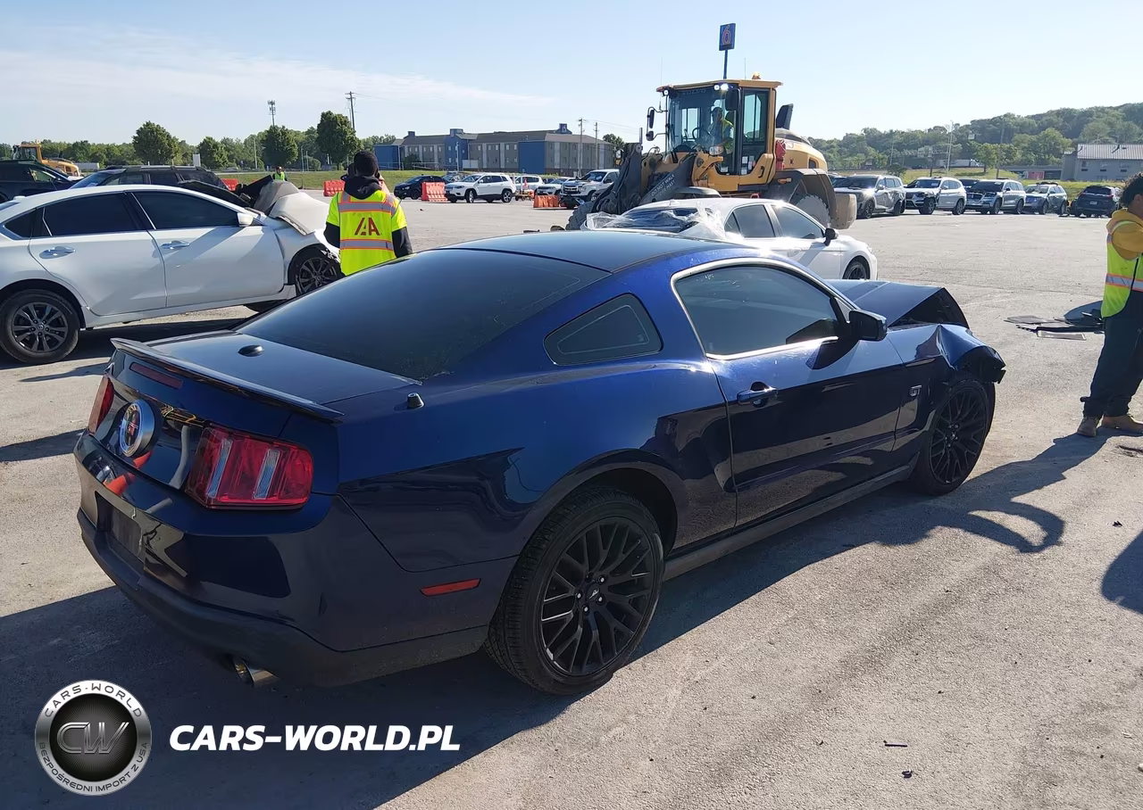 2010 Ford Mustang Gt-Gt Premium VIN:1ZVBP8CH7A5115555 - 4