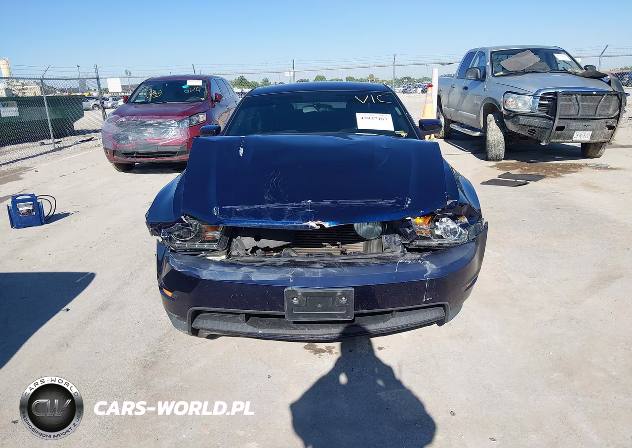 2010 Ford Mustang Gt-Gt Premium VIN:1ZVBP8CH7A5115555 - 6