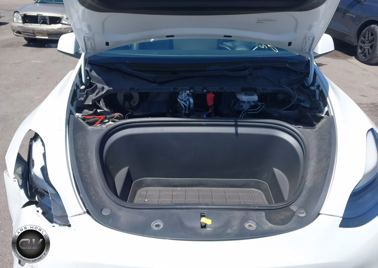 2022 Tesla Model Y Performance Dual Motor All-Wheel Drive VIN:7SAYGDEF4NF395556 - 10