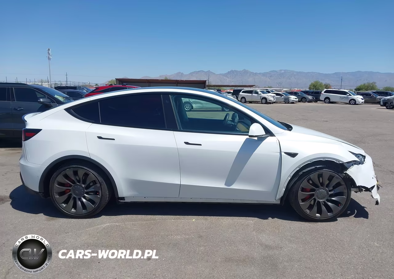 2022 Tesla Model Y Performance Dual Motor All-Wheel Drive VIN:7SAYGDEF4NF395556 - 13