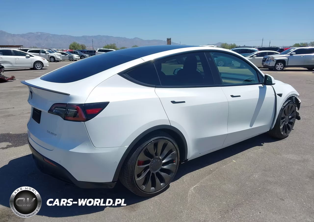 2022 Tesla Model Y Performance Dual Motor All-Wheel Drive VIN:7SAYGDEF4NF395556 - 4