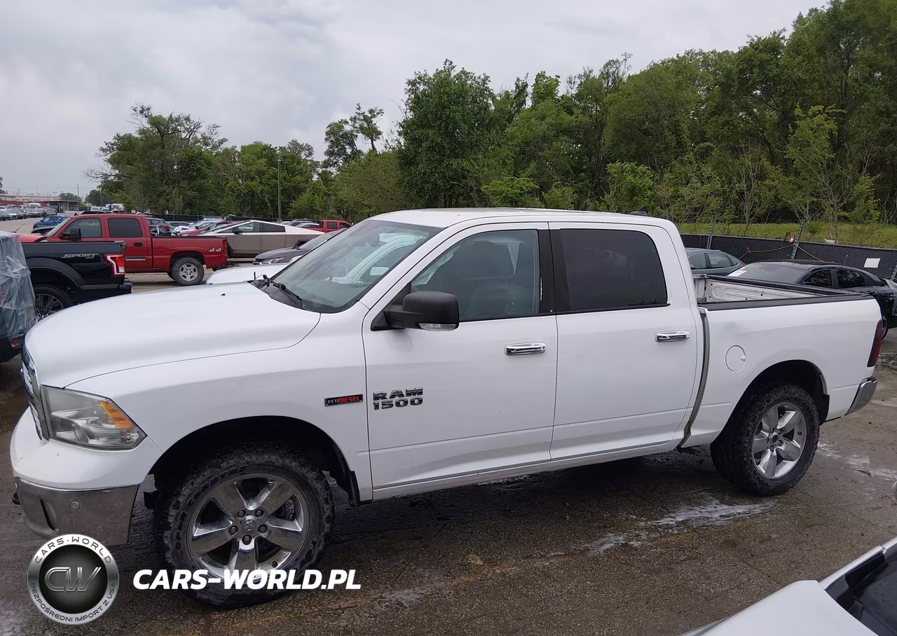 2016 Ram 1500 Big Horn VIN:1C6RR7LM7GS115544 - 14