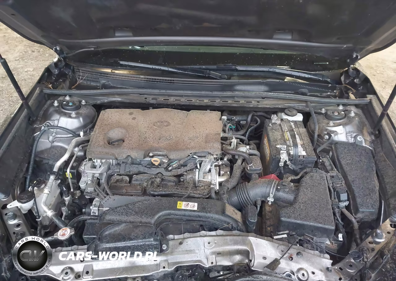 2019 Toyota Camry Le VIN:4T1B11HK8KU184600 - 10