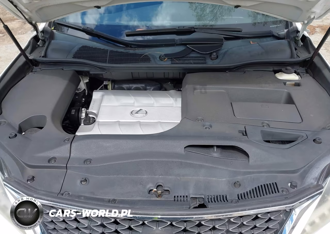 2015 Lexus Rx 350 F Sport VIN:2T2BK1BA0FC317298 - 10
