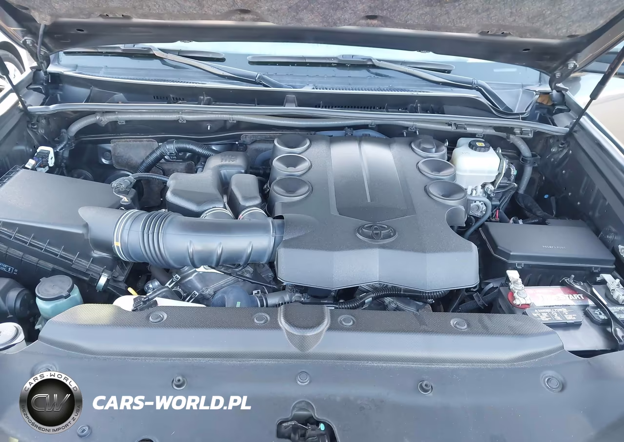 2019 Toyota 4Runner Trd Off Road Premium VIN:JTEBU5JR4K5653794 - 10