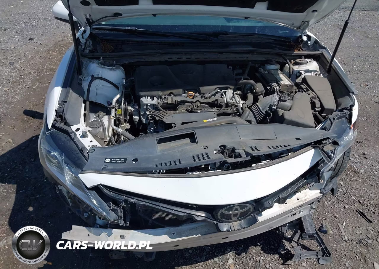 2020 Toyota Camry Se VIN:4T1G11AK5LU910866 - 10